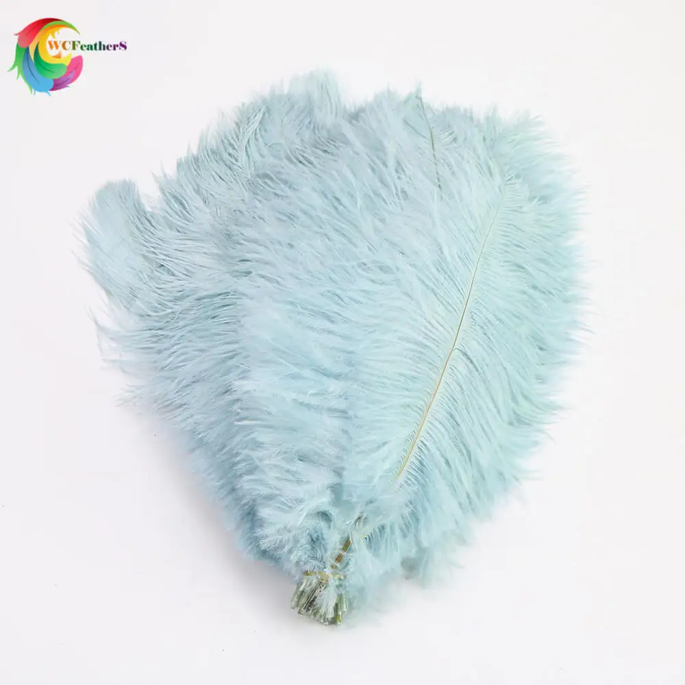 Light blue 50 шт./лот окрашенные цветные натуральные страусиные перья 25-30 см DIY свадебные декоративные аксессуары для вечеринок plume 12 цветов на выбор - Цвет: Light blue