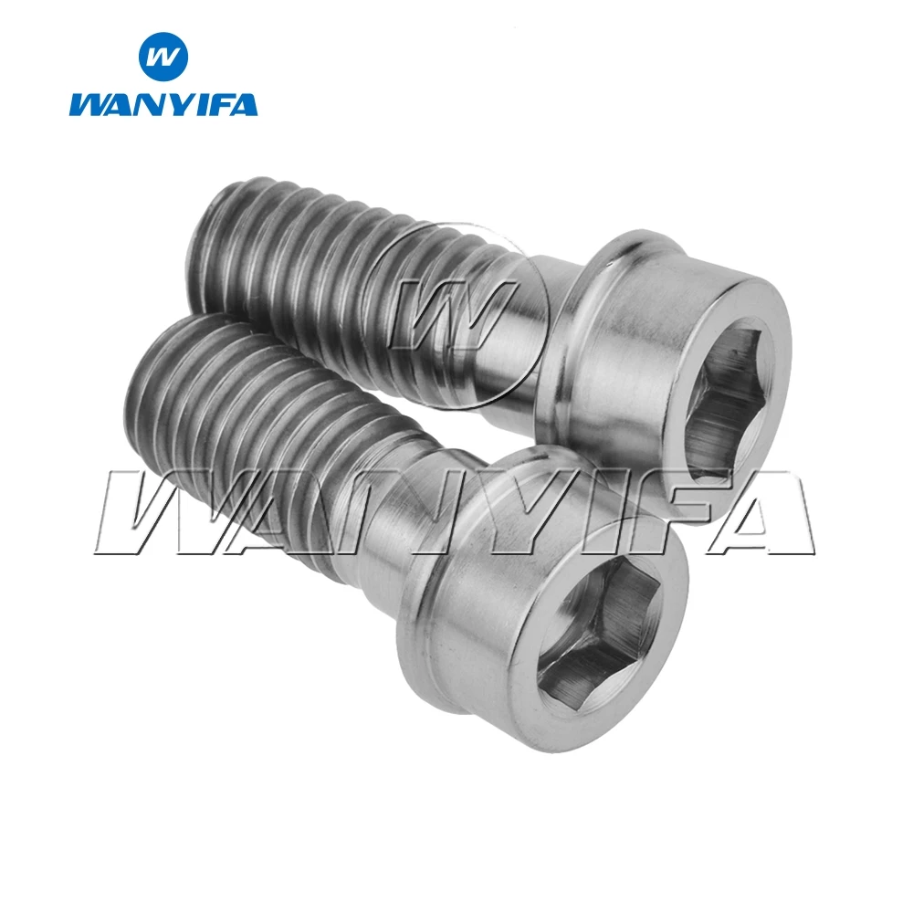 Фото Титановые болты Wanyifa (2 шт.) M10 x 25 мм, 1.25 мм, 1.5 мм, подходят для тормозного суппорта DUCATI №1