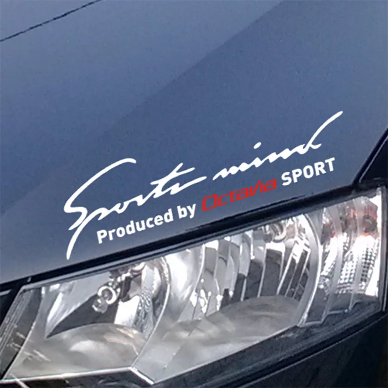 Спортивный автомобиль Стайлинг на козырек автомобильного фонаря для skoda octavia