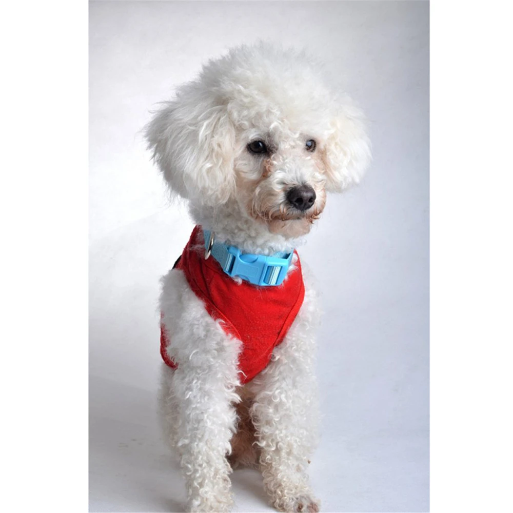 2017 Новейший цветной собачий ошейник Нейлоновый Регулируемый маленький для