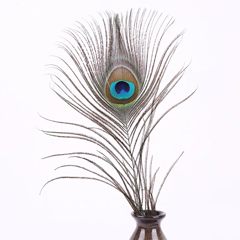 10PCS Natural Peacock Feathers 10-12 Inch Plumes Vase Decoration Feather High Quality Beautiful | Дом и сад