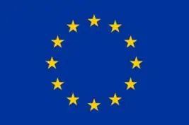 

European Union Flags Wholesale Lot of 10 PCS National Polyester Banner150* 90cm 3ft x 5ft All over the world outdoor