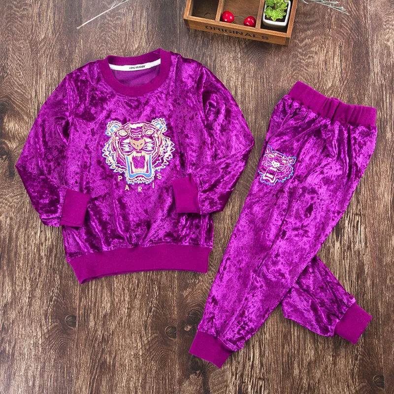 New Style Embroidery Kids Boys and Girls Tracksuits Sportswear fleece jacket Spring Autumn Clothes Children Casual Set 8colors | Детская