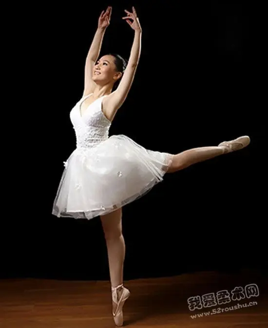 

Lady Ballet Dance Dress Children Girls Tutu Ballet Leotards Women Classical Professional Ballet Tutu Adults Dancing B-6514