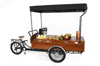 mini truck food beer tricycle coffee food snacks 3 wheel mobile bar beer bike with best quality free shipping by sea cnf