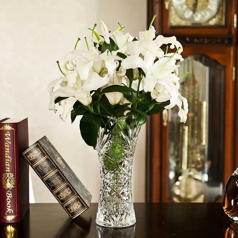 Национальная лесная ограниченная по времени специальные акции разнообразные