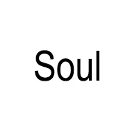 Soul Kayme водонепроницаемые камуфляжные автомобильные чехлы для улицы, защита от солнца, чехол для kia k2 rio ceed sportage soul cerato sorento - Название цвета: Soul
