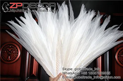 Zpdecor 24-26 дюймов(60-65 см) 50 шт./лот длинные высококачественные серебряные перья из хвоста фазана белые отбеленные - Цвет: white