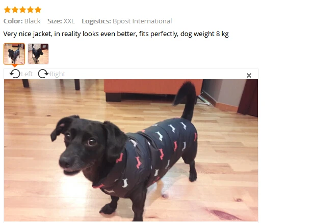 Теплое пальто для собак с принтом Dashchund зимняя одежда для домашних животных куртка для маленьких собак Одежда для щенков 80926