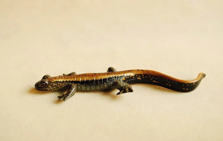 Оригинальная японская Подлинная Статуэтка дикого животного гигантский salamander