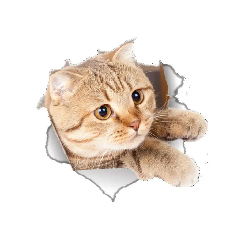 3D наклейки на сиденье унитаза кошки собаки|Наклейки стену| |