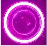 EOsuns angel eye светодиодные дневные ходовые огни DRL+ противотуманная фара+ объектив проектора для volkswagen VW Jetta Sagitar, Golf 5 Вариант 2006-10 - Цвет: purple