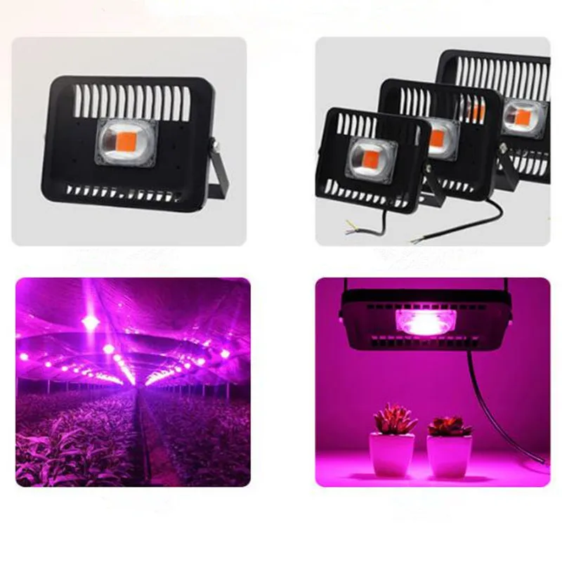 Светодиодный COB full spectrum Led чип 20 Вт 30 Вт 50 Вт AC220V/110 V завода светать светильник Светодиодный прожектор светильник ламповый модуль 380-840nm 1 шт
