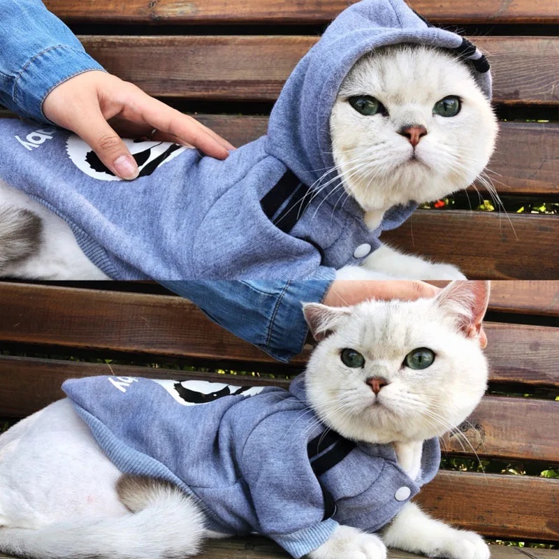 Модная одежда для кошек с капюшоном пальто куртка толстовки собак теплая