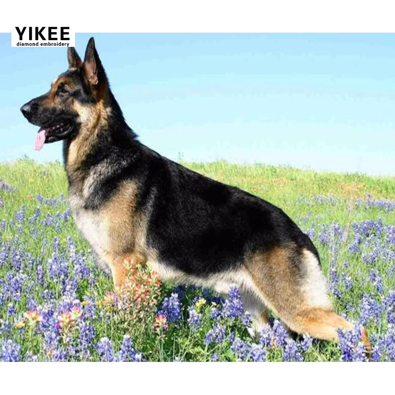 

YIKEE 5D Diamond Painting Full Drill Square Dog Diamond Embroidery Full Square RhinestonesCrossStitchDIYHobbyHomeDecoratio c189