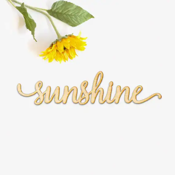 Sunshine Script Word деревянная вывеска лазерная резка курсивная древесина|Таблички и