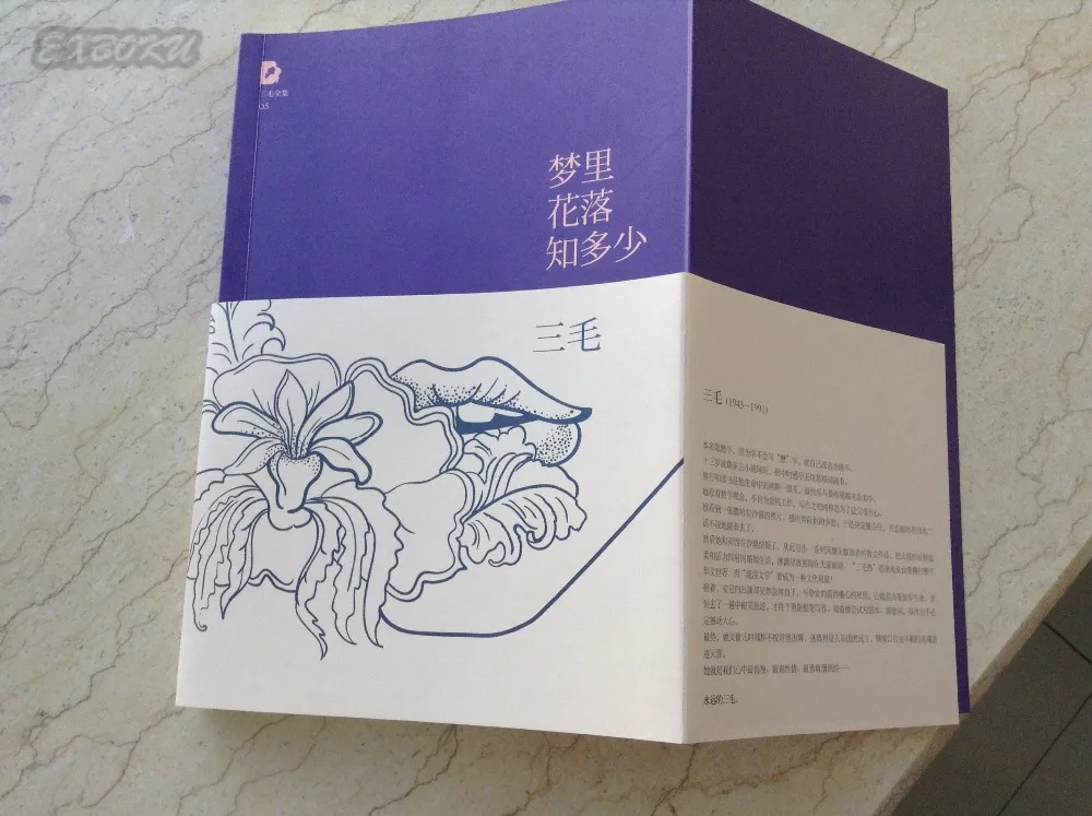 Never-flower in Never-dream meng li hua luo zhi duo shao от San Mao/Китайская самая известная история
