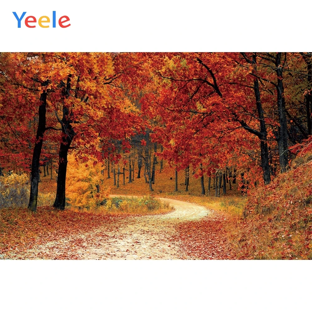 Фон для фотосъемки Yeele с изображением осеннего пейзажа кленового дерева и