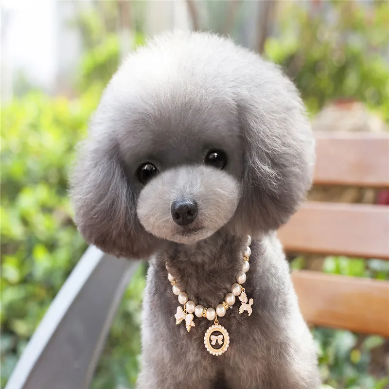 Роскошное ожерелье для собак и кошек подвеска питомцев жемчужный колокольчик