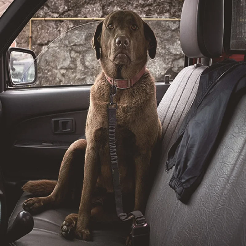 Новый Регулируемый ремень безопасности для домашних животных собак кошек