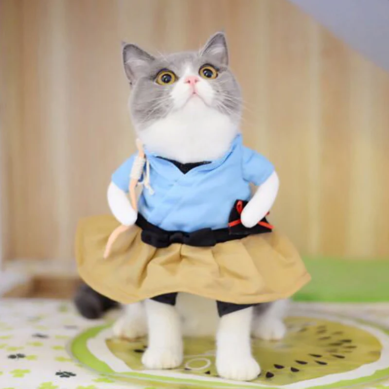 Забавные костюмы для собак, кошек, Urashima Taro, костюм для косплея, одежда для домашних животных, одежда для Хеллоуина, Рождественская одежда для щенков, костюм для кошки - Цвет: As shown clothes