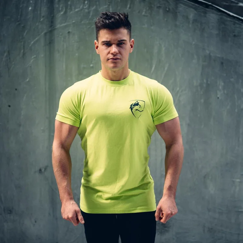 Мужские футболки Alphalete Gyms Фитнес Бодибилдинг тонкая футболка мужская с коротким