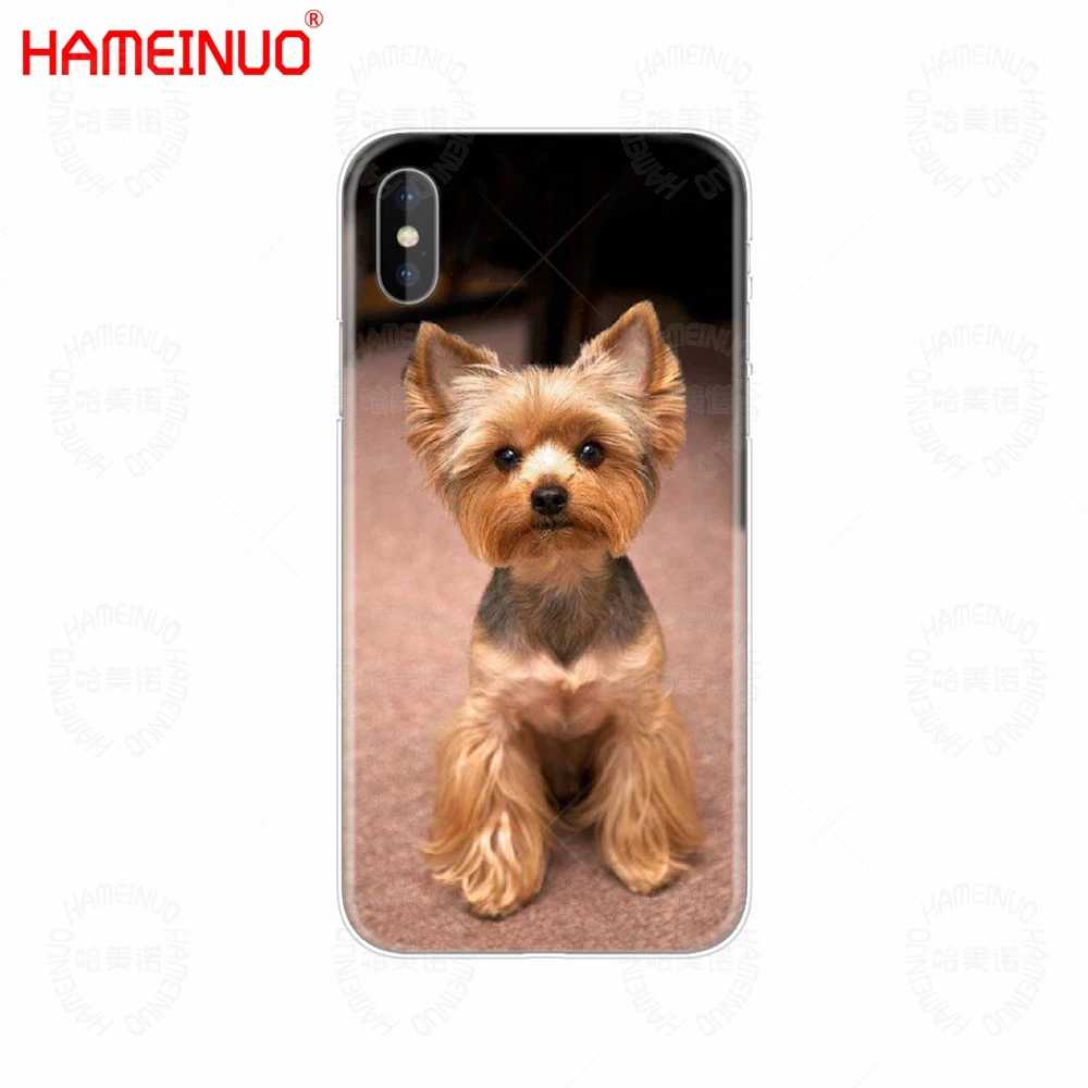 HAMEINUO йоркширский терьер собака щенок Чехол для мобильного телефона iphone X 8 7 6 4 4S 5 5S SE 5c 6s plus - Цвет: 40969