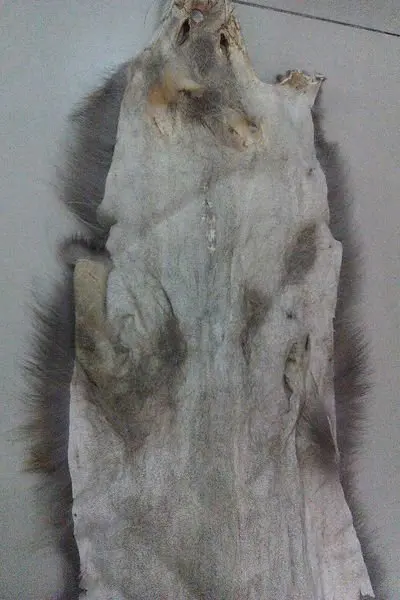 Роскошный тканевый стиль 3 материала кожа Лисий натуральный мех дешевые и