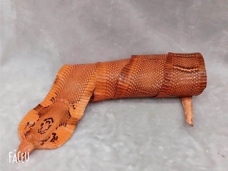 Цельное изделие из Натуральной Змеиной кожи для искусственного