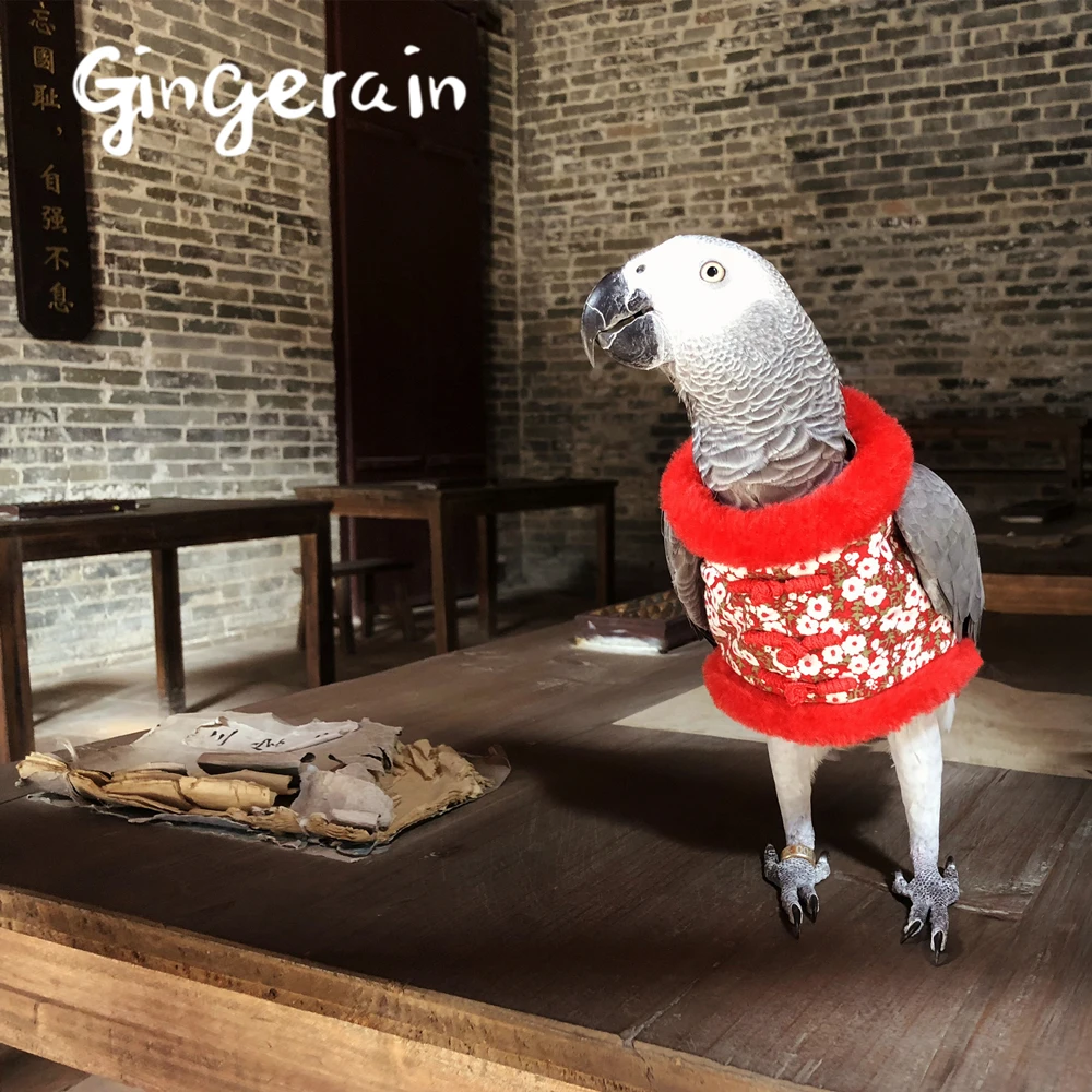 Gingerain одежда с птицами и попугаями Оригинальная красными рукавами ручной работы