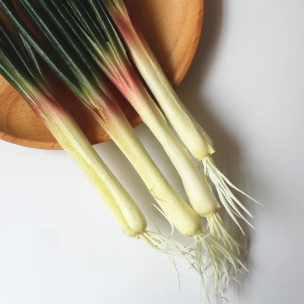 Искусственный шалот картина модель украшения дома фотография шоу реквизит