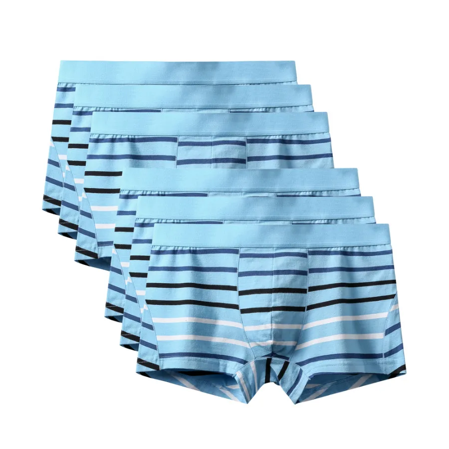 6Pcs A1473 Sky Blue 6 шт./лот модные большие Размеры шорты-боксеры для мужчин трусы мужские трусы-боксеры из толстого хлопка мужские шорты Боксеры Нижнее белье скольжения боксер 3XL - Цвет: 6Pcs A1473 Sky Blue