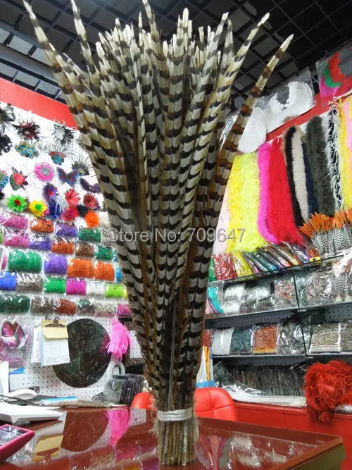 

Wholesale,50Pcs/lot,70-75cm long Pheasant Feathers, Natural Reeves Venery Pheasant Tail Feathers,Reeves Tails,plume decoration