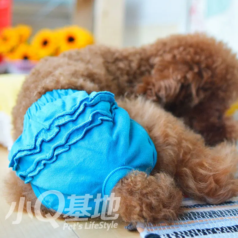 Новинка трусики для собак розовый зеленый синий желтый кружево хлопок Одежда