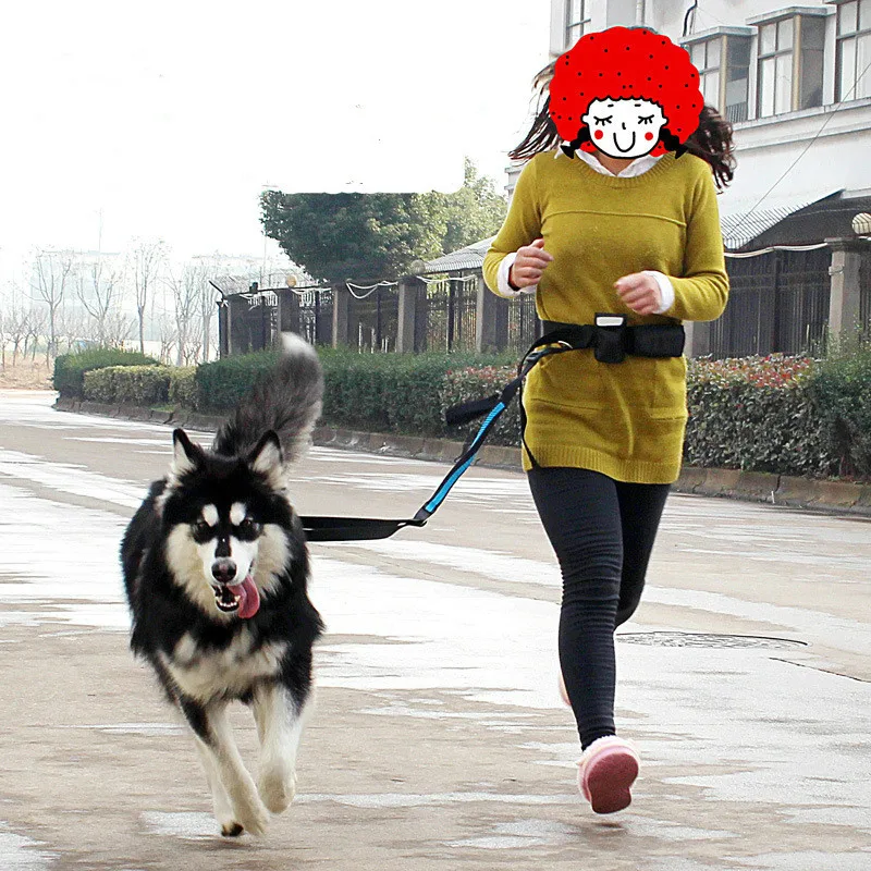 

Elastic belt Running Large dog leash lead sports jogging walking big dog collar rope Morning run hand free waist dog leash set