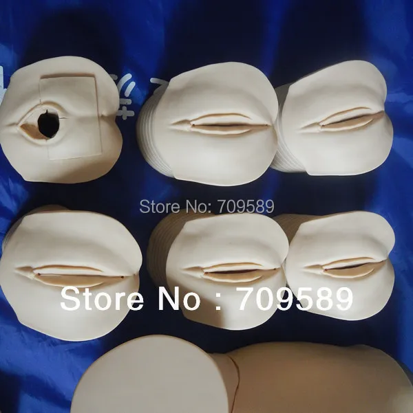 ISO усовершенствованный симулятор труда и доставки демонстрационный