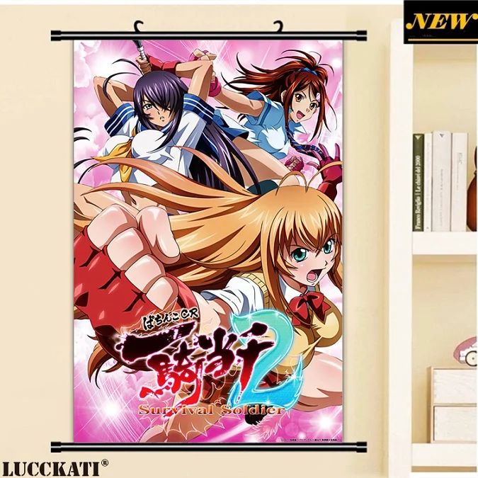 40X60 см Ikkitousen battale Vixens Shiozaki Yuji серия квитанция мультфильм аниме Настенная картина прокрутки холст живопись плакат - Цвет: W