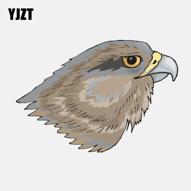 

YJZT, 15 см * 10,3 см, Sharp Eagle Eye, PVC декоративный автомобильный стикер 11-01228