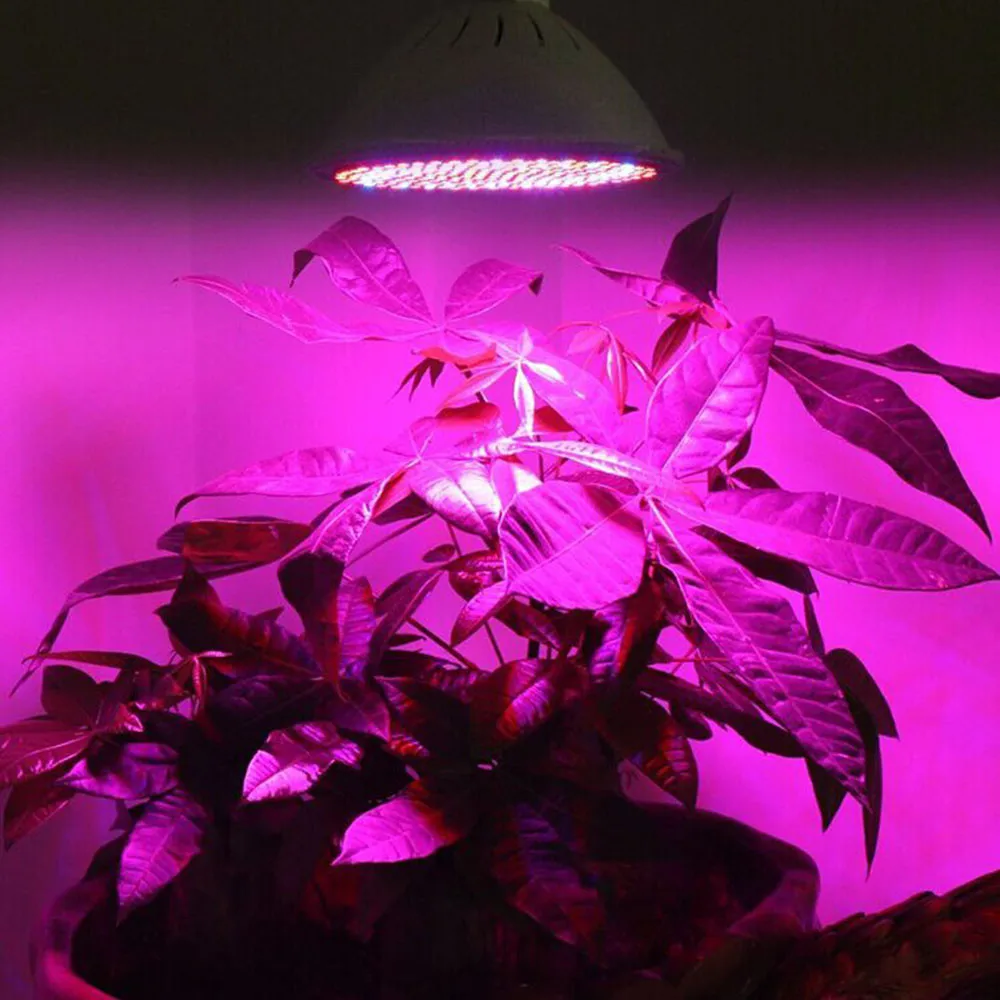 2018 Новое высокое качество E27 290 Led светать гидропонное освещение с зажимом лампы