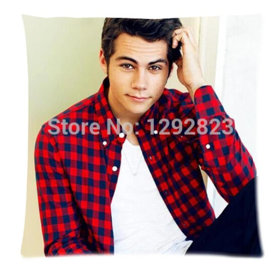 Горячие Продажи Пользовательских Дилан О 'Брайен Soft Мода Хлопок Молнии Белье