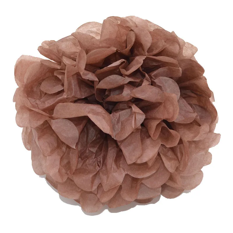 FB24brown 5 шт. 10/15/20 см помпон из бумажной салфетки Бумага Pom Poms, цветок для свадьбы украшение автомобиля вечерние пользу поделок ручной Цветочные шары из бумаги - Цвет: FB24brown