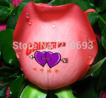 Забавные картинки для творчества Размер A4 (100 шт./лот) лазерная прозрачная