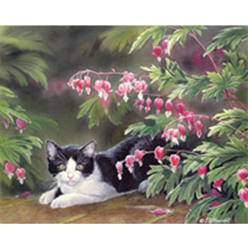 5D diy Алмаз Живопись поставок кошка сад прятки Горный Хрусталь рукоделие