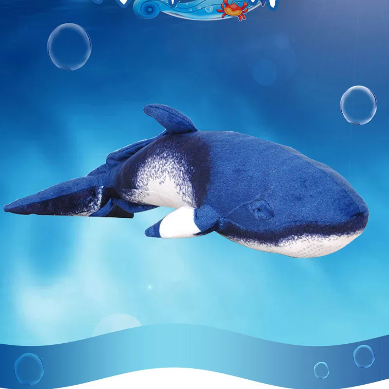 

55cm New Style Toy Whale Plush Toys Dolls Large Long Pillow High-quality Fish Cushion Kids Toys for Children Birthday Gifts