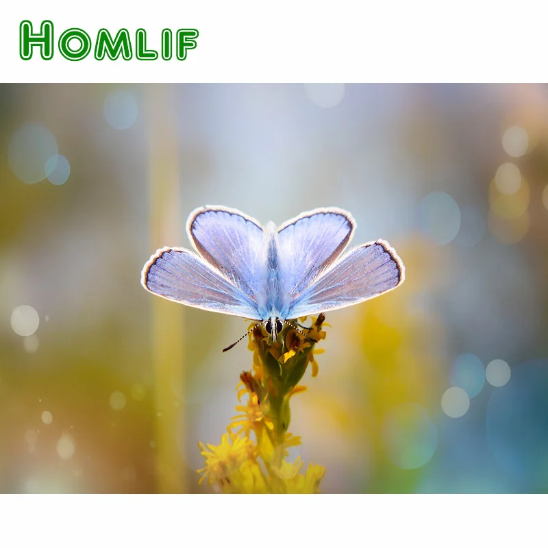HOMLIF 5D алмазная вышивка бабочка крестиком DIY живопись полный Алмазный пейзаж