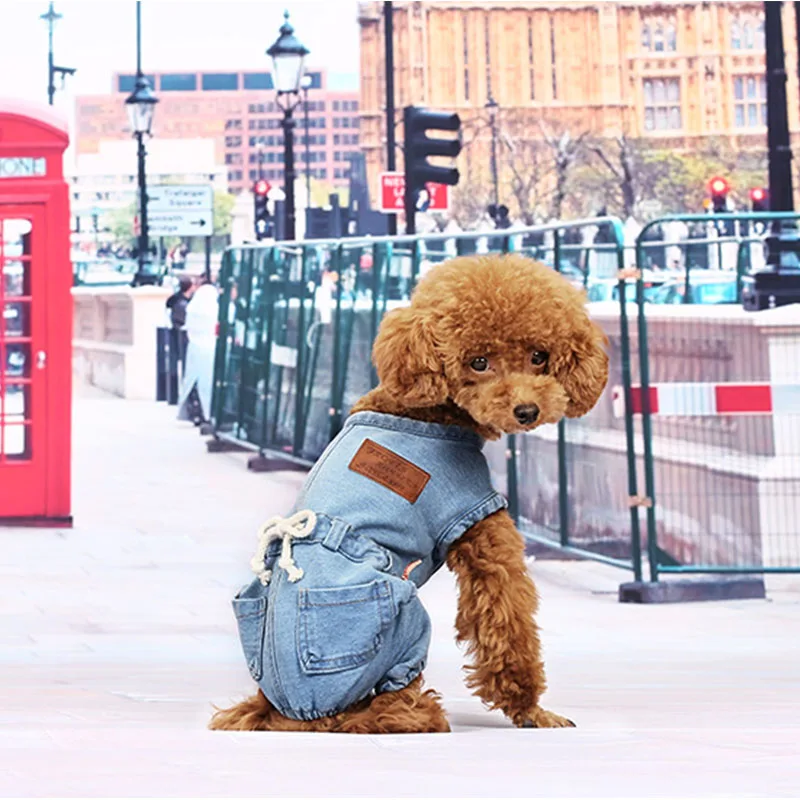 Джинсовое пальто для собак щенков джинсовая куртка брюки симпатичный комбинезон