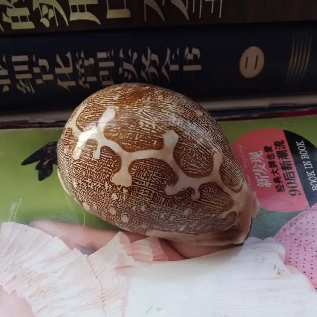 1 шт. аквариумная раковина для украшения |