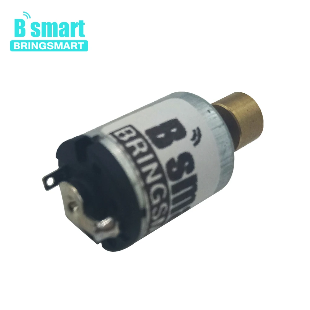 Высокоскоростной вибратор постоянного тока Bringsmart R1215 1 5 6 в Электрический мини