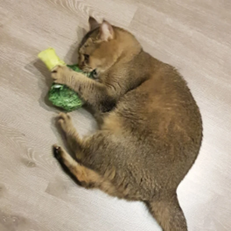 Пищалка игрушки для кошек кошачья мята плюшевая игрушка товары кухонные