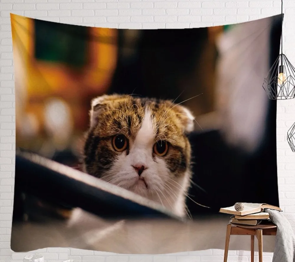 CAMMITEVER коты фото гобелен креативная дверная наклейка Сделай Сам домашний Декор